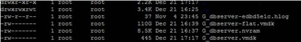 server vmware esx
